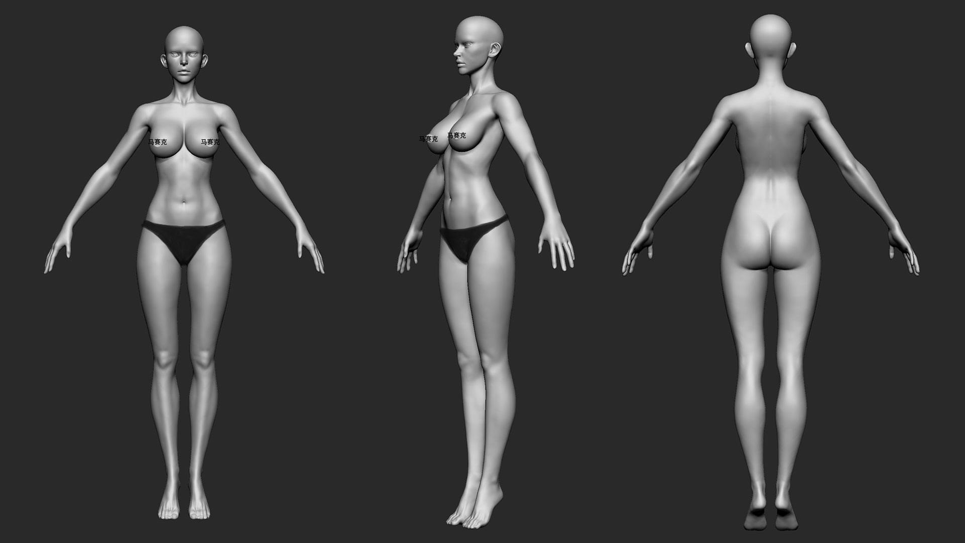 Zbrush女性人体基础雕刻模型obj