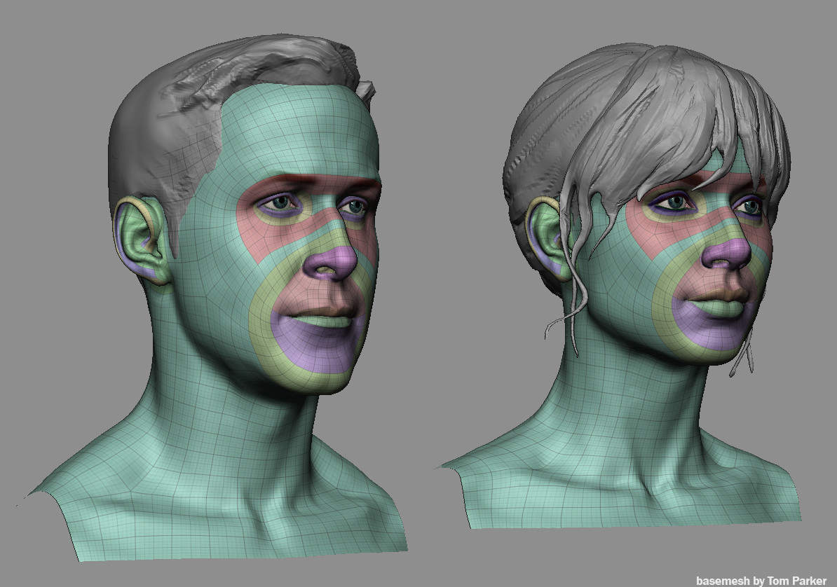 Zbrush赛博朋克2049男女头部模型基础模型Ztl