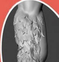 zbrush毛发01-卡通皮毛雕刻角色风格化短毛笔刷