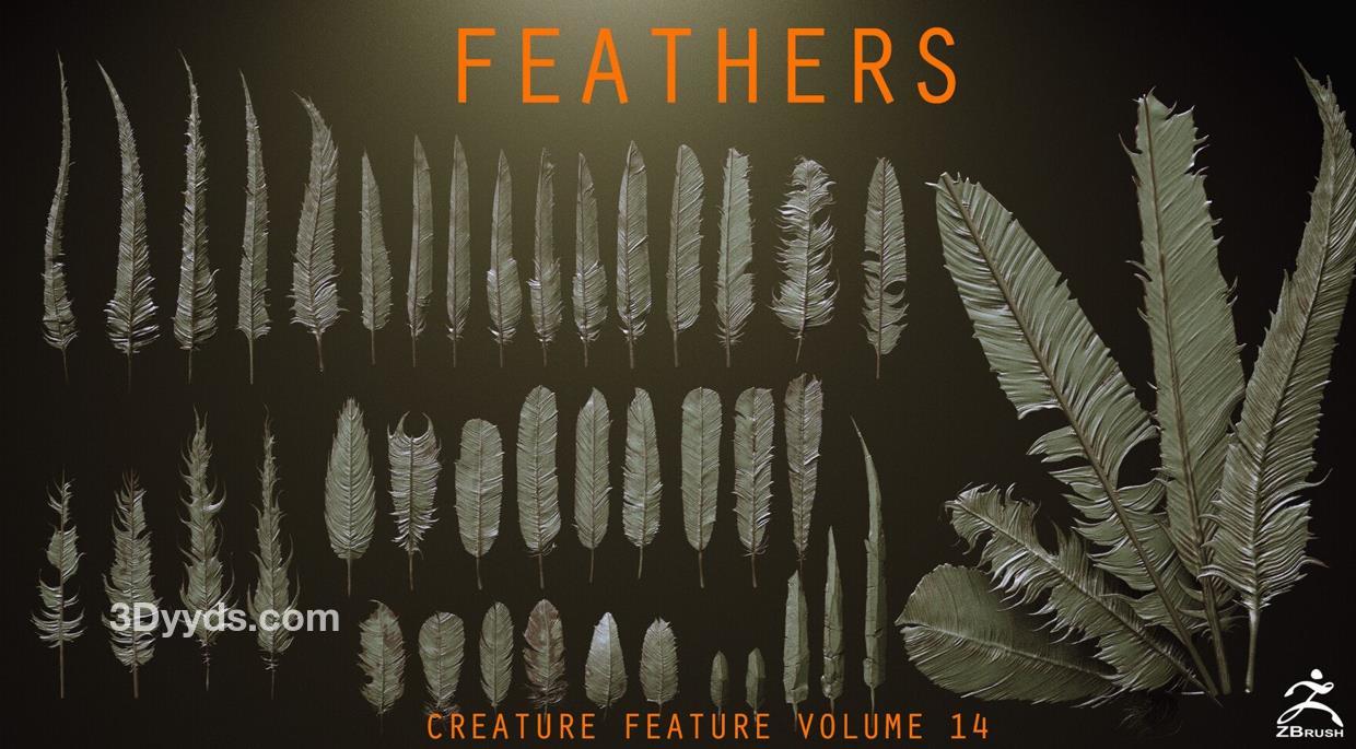 zbrush毛发03鸟类羽毛翅膀笔刷&ZTL模型