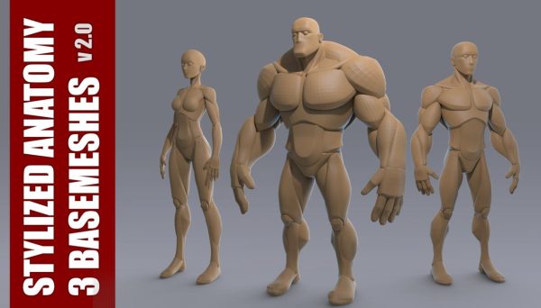 zbrush卡通风格化男女壮汉基础模型amp人体卡通小孩角色雕刻
