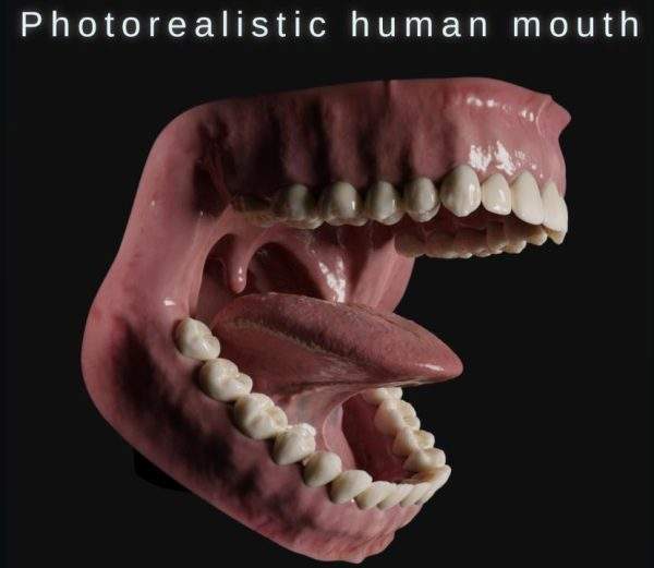 Blender写实人体口腔3D模型素材FBX嘴巴牙齿舌头模型OBJ