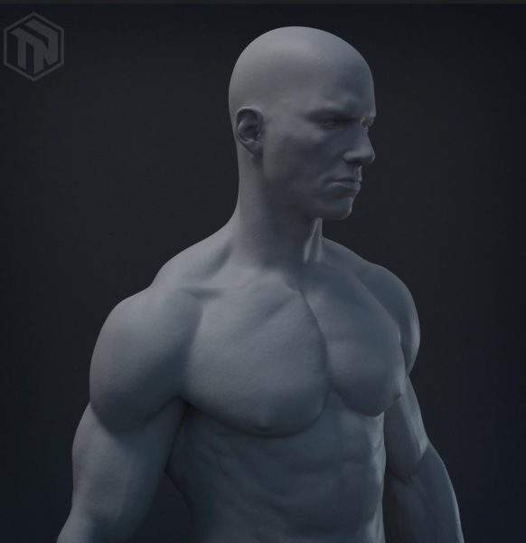 zbrush男性身体雕刻基础模型amp角色CG人物