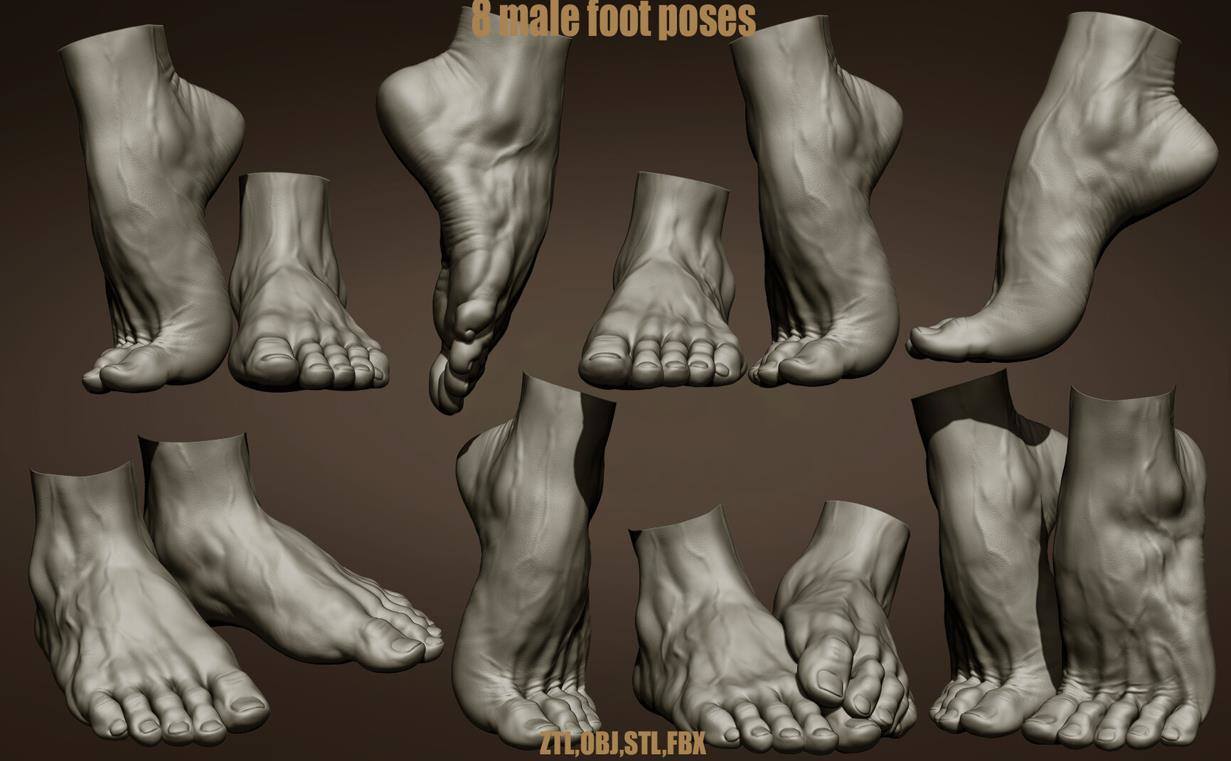 zbrush男性脚部姿势3dZTL模型amp垫脚姿势男性大腿雕刻