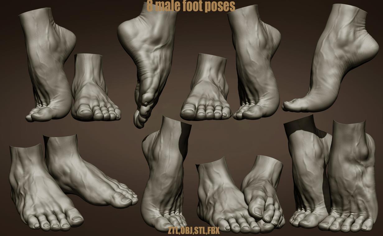 zbrush男性脚部姿势3dZTL模型amp垫脚姿势男性大腿雕刻