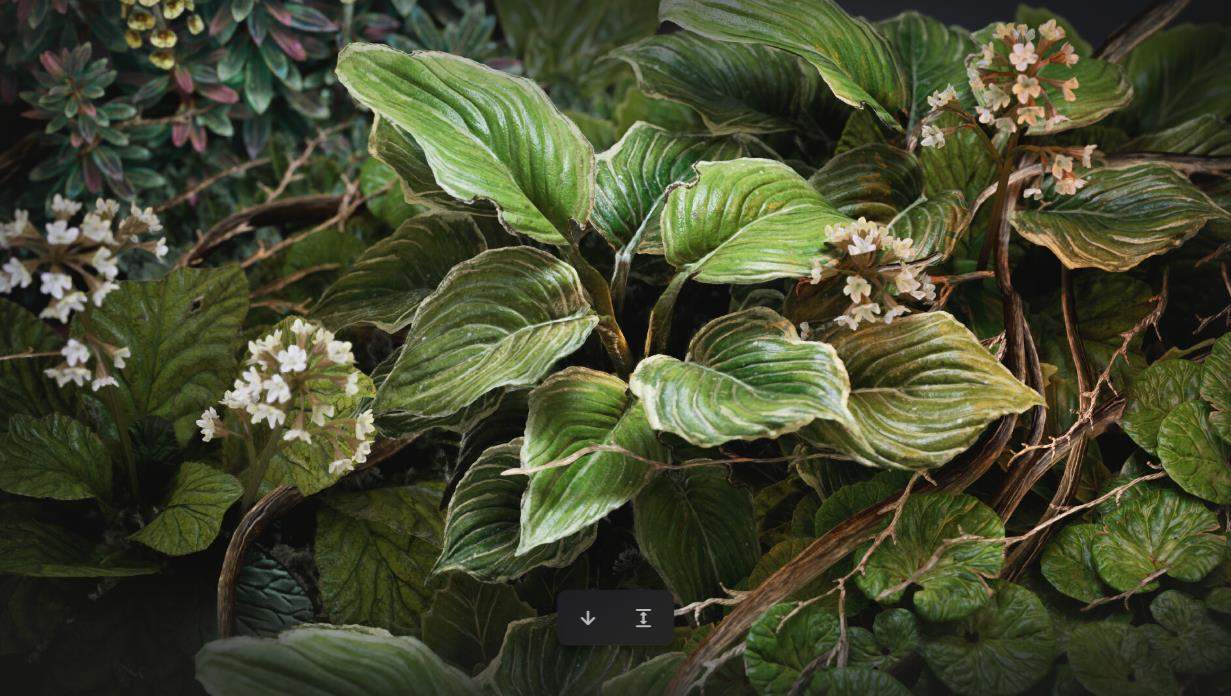 植物叶子3d模型ztl-amp-spp叶子植物草被树木fbx