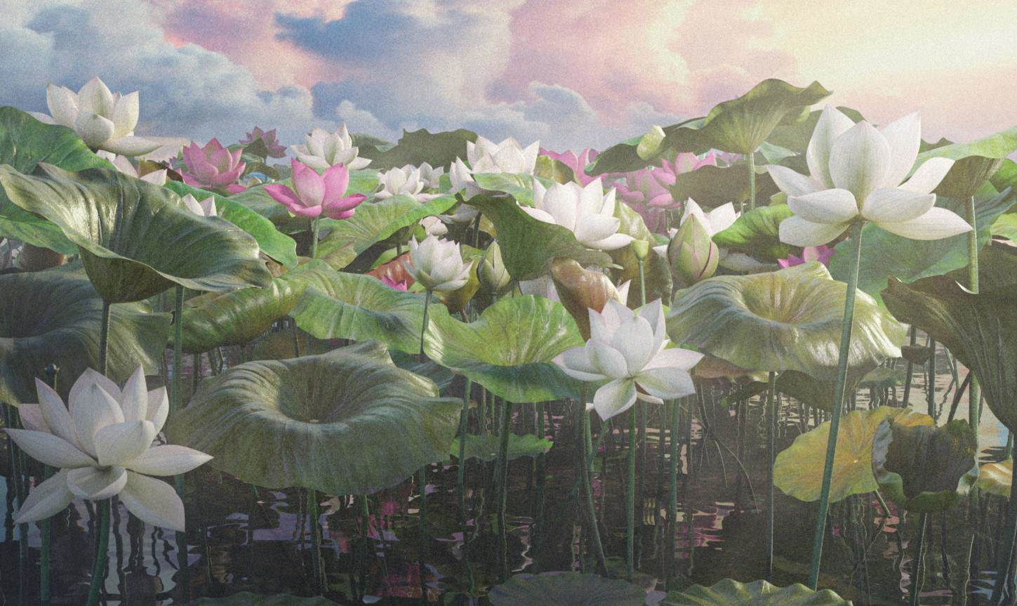 Blender写实莲花荷叶植物湖泊树叶模型C4D河流花朵睡莲FBX