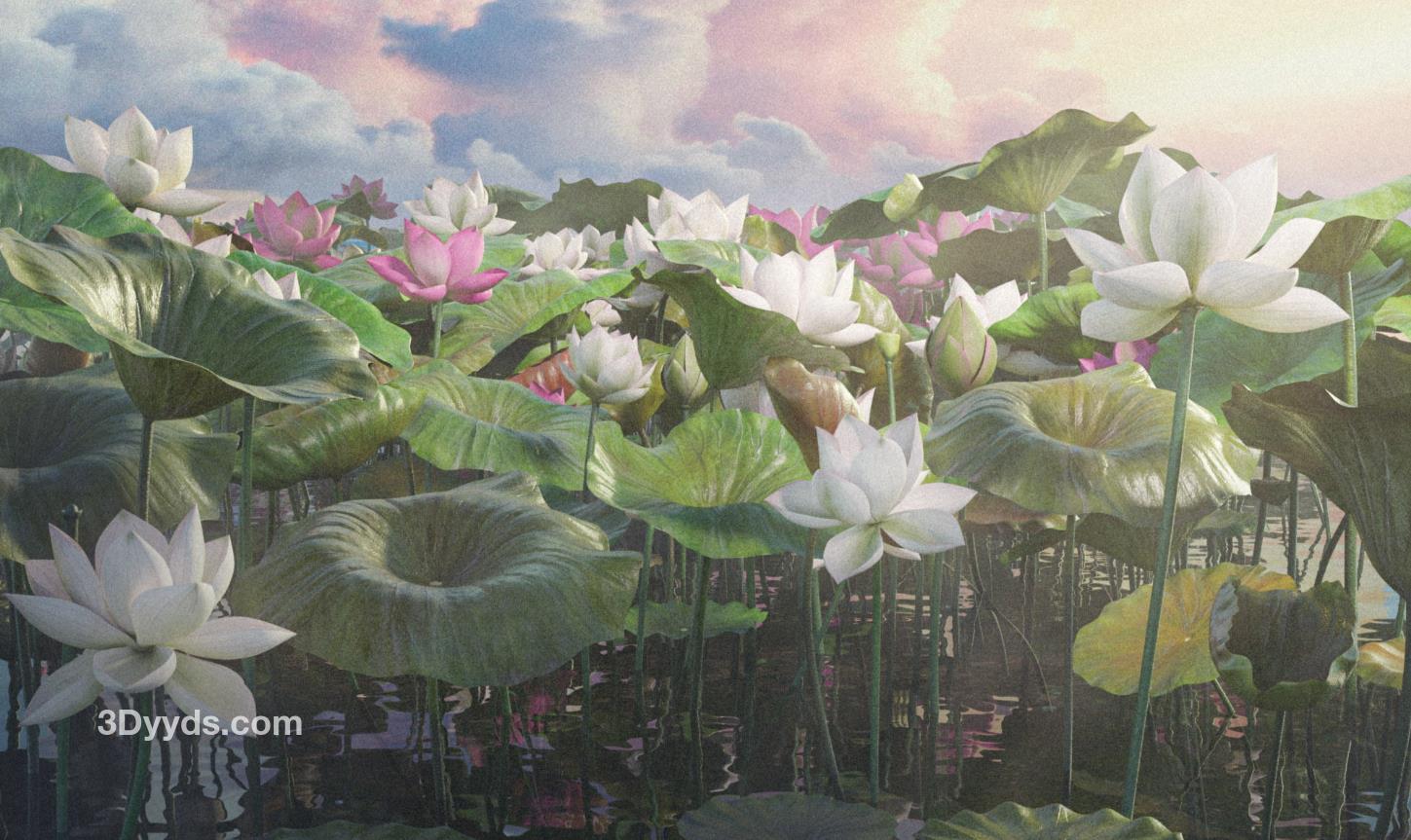 Blender写实莲花荷叶植物湖泊树叶模型C4D河流花朵睡莲FBX