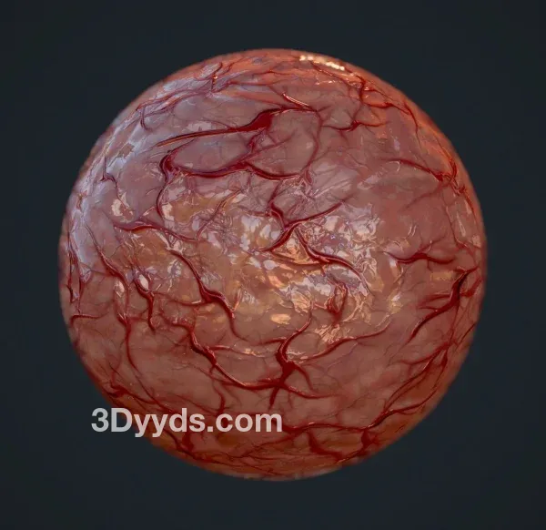 sp材质241脑部身体血管智能材质