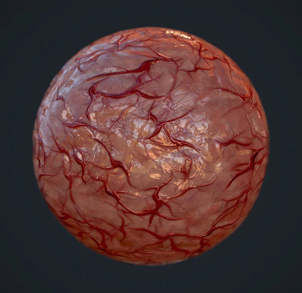 sp材质241脑部身体血管智能材质