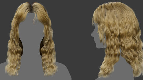 Xgen毛发19女性女人长发卷发金色头发模型