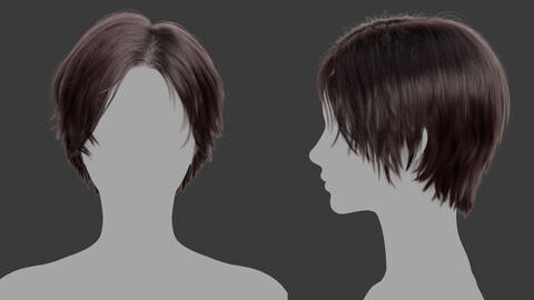 Xgen毛发39女人女生超短发头发模型