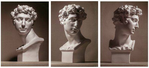 大卫海盗马赛美第奇塔头胸像石膏像照片参考图65