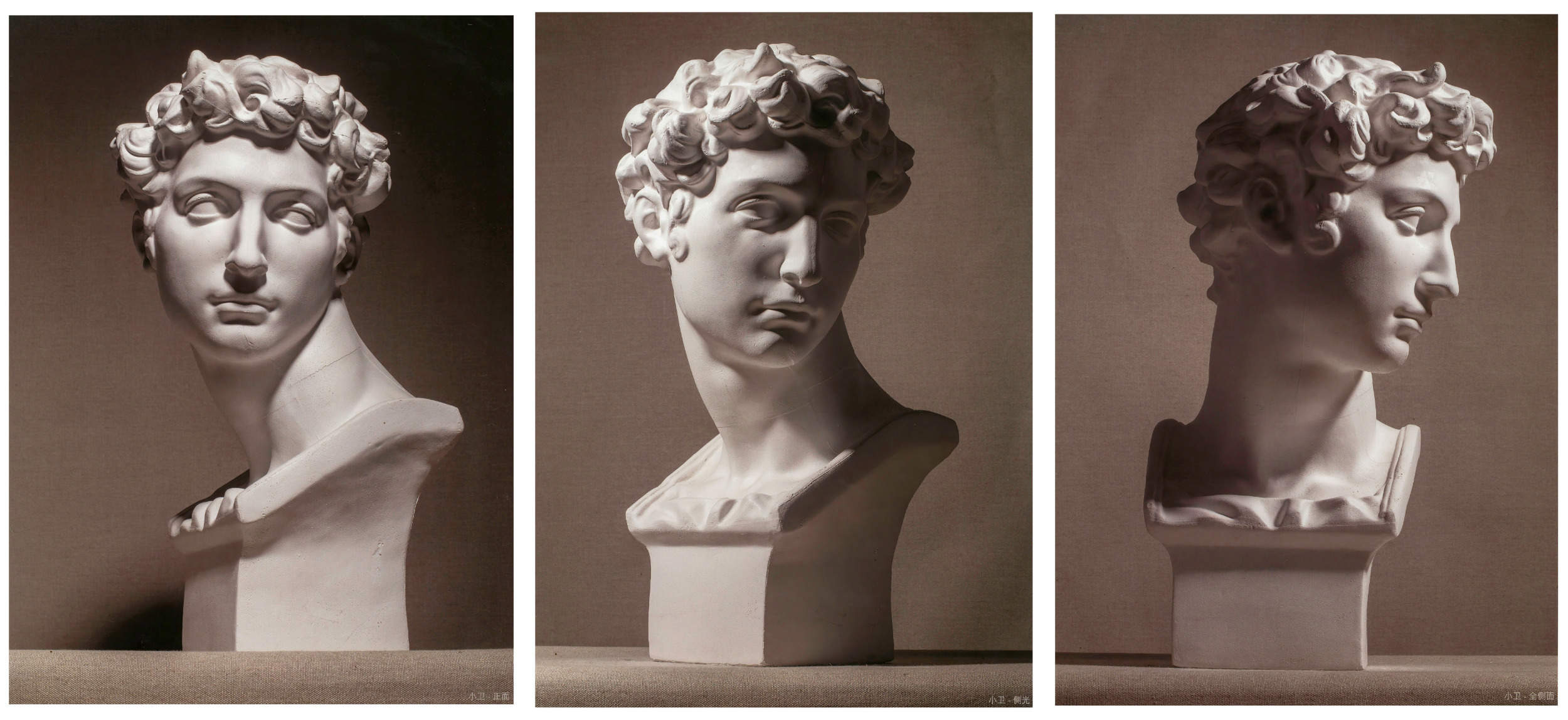 大卫海盗马赛美第奇塔头胸像石膏像照片参考图65