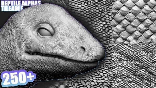 zbrush309-275款爬行动物皮肤龙蛇蜥蜴鳞片Alpha笔刷