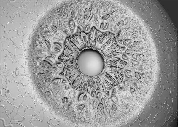 zbrush316高质量写实细节眼睛眼珠瞳孔眼球3D模型