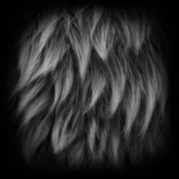 zbrush348哺乳动物毛发皮毛短毛绒毛alpha纹理贴图psd