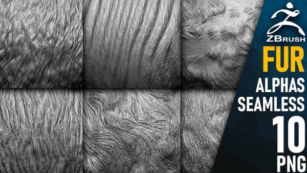 zbrush353动物毛皮毛发绒毛Alpha笔刷png纹理贴图