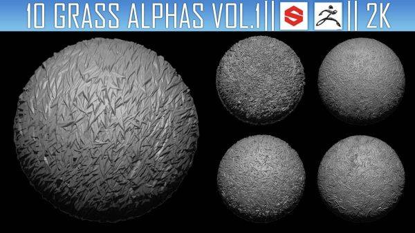 zbrush363-10组草地草丛杂草地纹理Alpha贴图