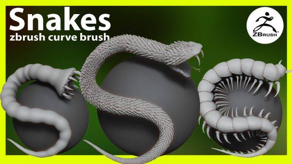 zbrush蛇形毛毛虫蜈蚣曲线笔刷