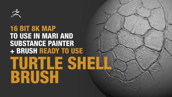 zbrush405乌龟壳海龟壳alpha笔刷