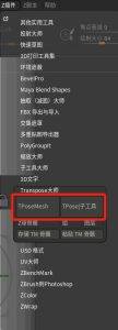 Zbrush如何同时编辑多个模型插图