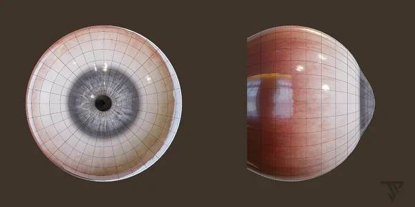 Blender游戏影视CG眼球眼睛-Game Ready-角色模型06