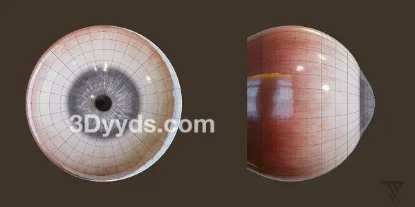 Blender游戏影视CG眼球眼睛-Game Ready-角色模型06