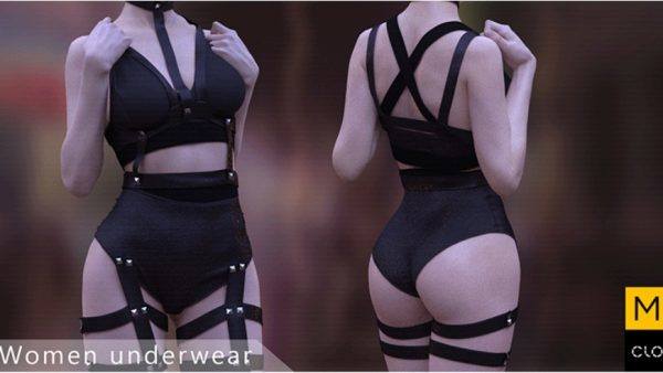 MD359-CLO3D女士性感内衣服装zprj模型