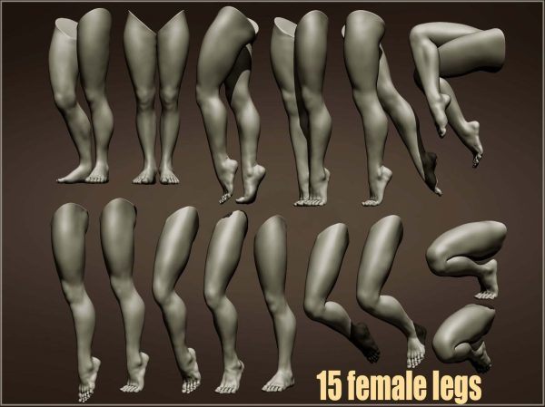 zbrush15款女性腿部腿脚姿势OBJ雕刻ZTL模型3D打印STL