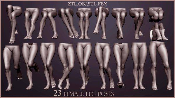 zbrush女性大腿部姿势ZTL模型FBX素材OBJ腿脚STL打印3D模型