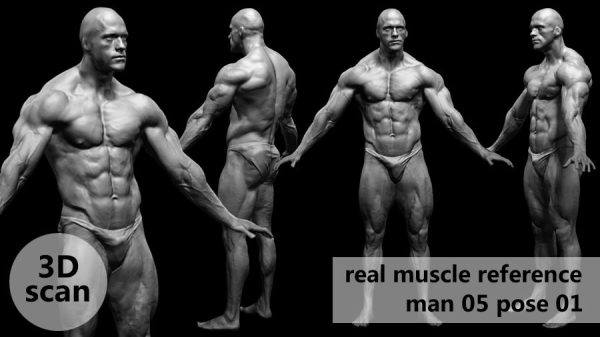 真实肌肉3D扫描解剖学姿势模型real muscleanatomy Man05 pose 01