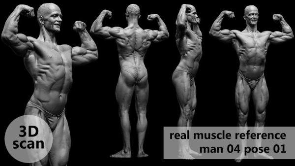 真实男性人体3D扫描解剖学姿势模型muscleanatomy Man04 pose 01