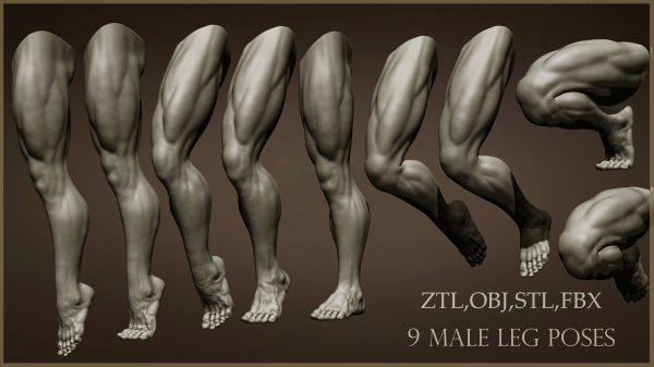zbrush男性腿部姿势3D模型人物肢体肌肉ZTL模型大腿脚部STL打印