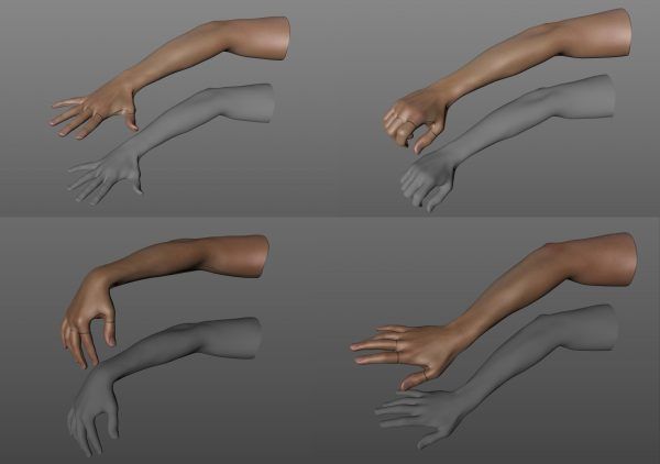 C4D多种手势手掌四边面未绑定模型