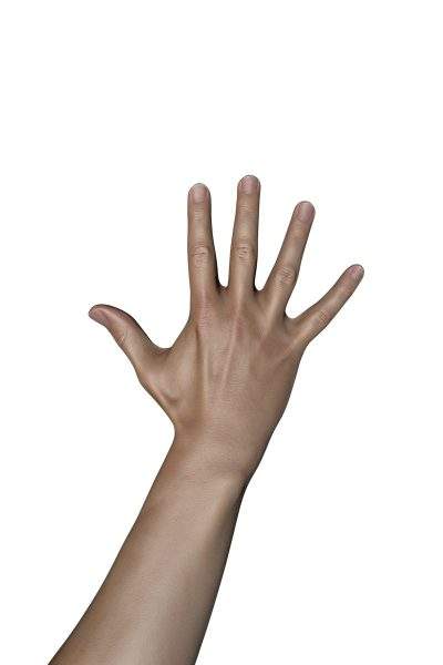 写实手臂单体模型FBX手部手指手掌OBJ建模PBR渲染C4D设计3D素材