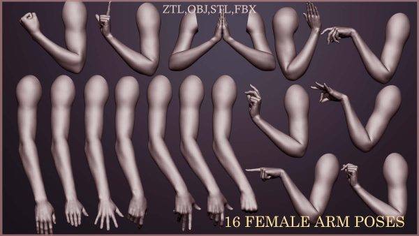 Blender女性手臂手部胳膊模型FBX高模OBJ格式ZBrush雕刻ZTL素材