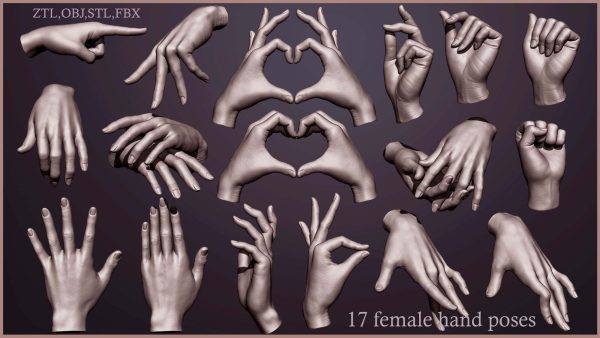 ZBrush17款写实女性手势模型心形手掌ZTL-STL打印设计