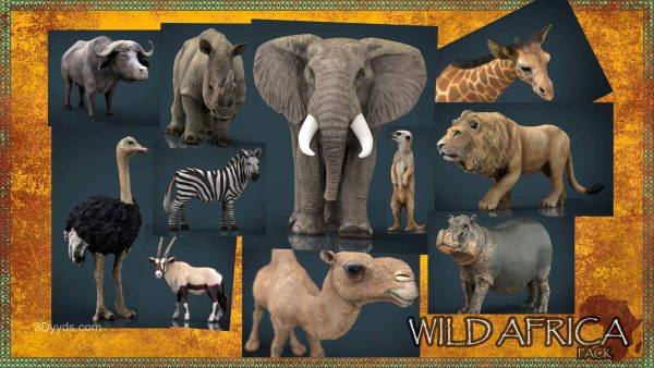 11个写实非洲野生动物模型包