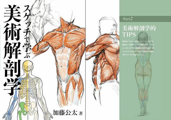加藤公太画集 スケッチで学ぶ美術肌肉解剖学PDF