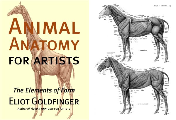 艺术家的动物解剖学：形式要素PDF书籍