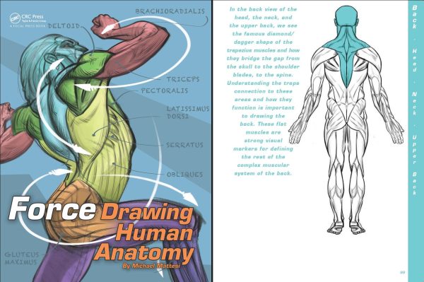 《力：绘画人体解剖》书籍资料