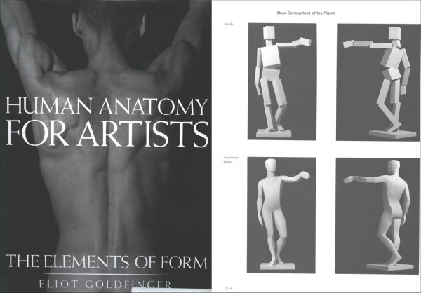 《牛津艺用人体解剖学》书籍资料
