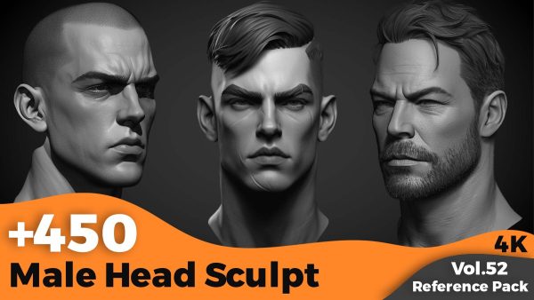 【Zbrush参考】450+男性头部雕刻参考图