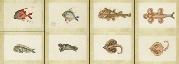 海怪图记幻想水怪生物图片素材