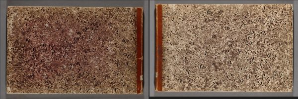 古代鱼类化石图鉴手绘参考图片素材